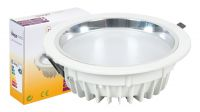 Lâmpadas LED verticais Downlight